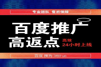 网络推广中的竞价广告：成功案例解析